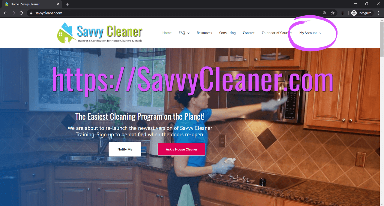 Savvy Cleaner Home Page