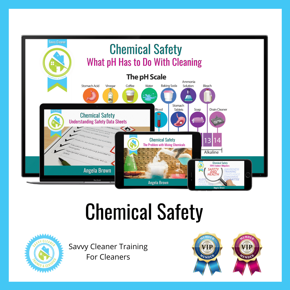 07 Chemical Safety
