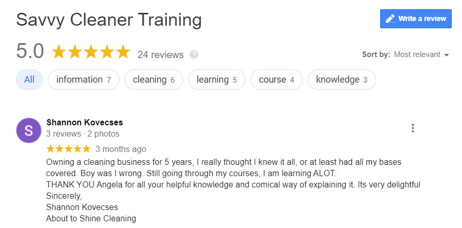 Shannon Kovecses Savvy Cleaner Training Review