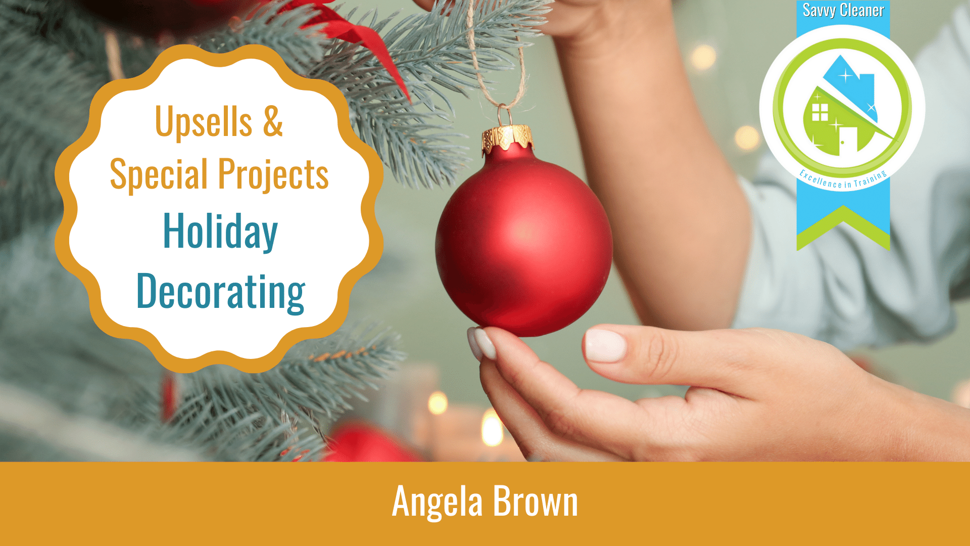 Upsells and Special Projects Holiday Packages