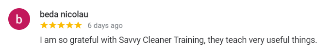 Beda Nicolau Savvy Cleaner Training Review