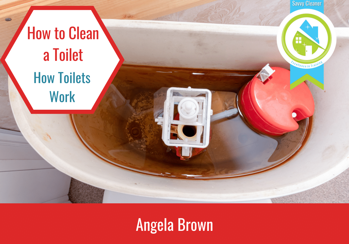 How to Clean Toilets Savvy Cleaner Training How Toilets Work