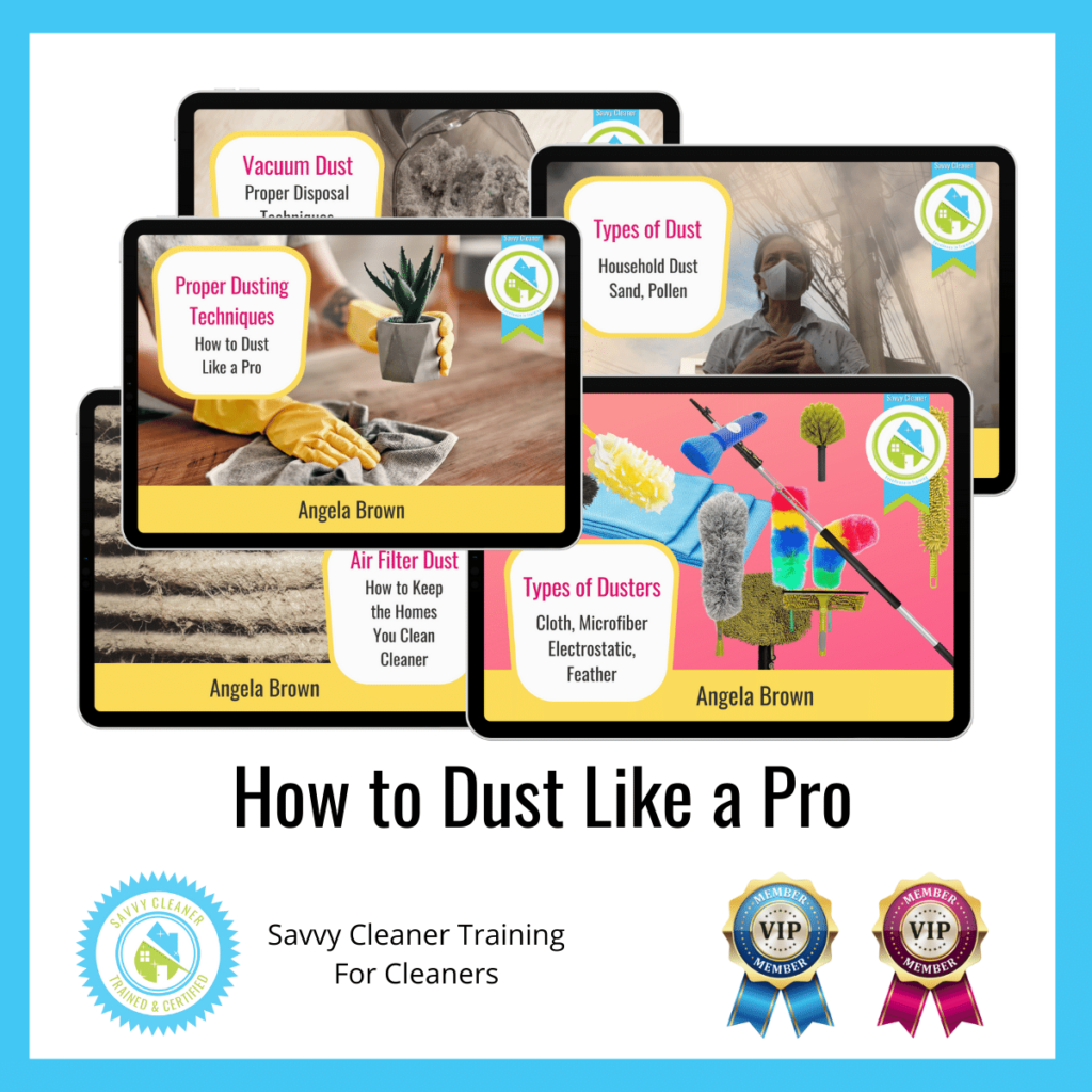 17 How to Dust Like a Pro