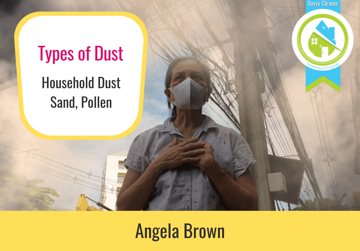 17 How to Dust Like a Pro Savvy Cleaner Training Types of Dust
