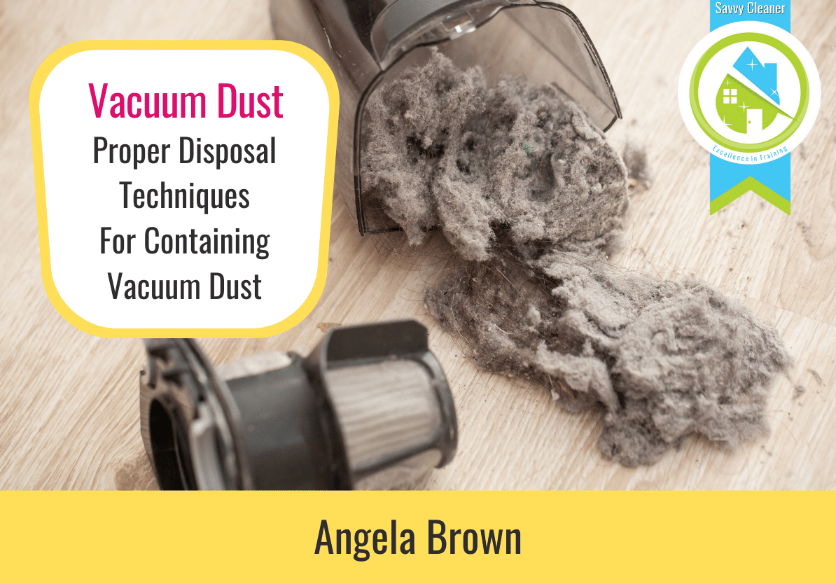 17 How to Dust Like a Pro Savvy Cleaner Training Vacuum Dust