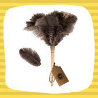 Duster Types Feather Duster