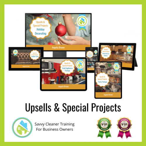 14 Upsells and Special Projects Savvy Cleaner Training