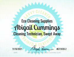 Abigail Cummings Eco Cleaning Supplies Savvy Cleaner Training