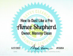 Aimee Shepherd Dust Like a Pro Savvy Cleaner Training
