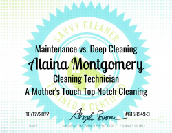 Alaina Montgomery Maintenance vs. Deep Cleaning Savvy Cleaner Training