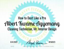 Albert Agyemang Dust Like a Pro Savvy Cleaner Training