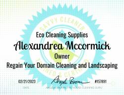 Alexandrea Mccormick Eco Cleaning Supplies Savvy Cleaner Training