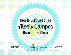 Alexis Campos Dust Like a Pro Savvy Cleaner Training