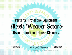 Alexis Weaver Setaro Personal Protective Equipment Savvy Cleaner Training