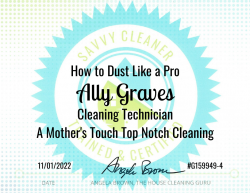 Ally Graves Dust Like a Pro Savvy Cleaner Training