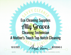 Ally Graves Eco Cleaning Supplies Savvy Cleaner Training