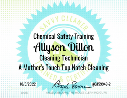 Allyson Dillon Chemical Safety Training Savvy Cleaner Training