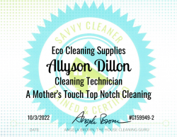 Allyson Dillon Eco Cleaning Supplies Savvy Cleaner Training