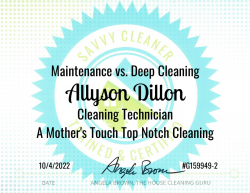 Allyson Dillon Maintenance vs. Deep Cleaning Savvy Cleaner Training