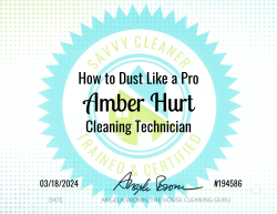 Amber Hurt Dust Like a Pro Savvy Cleaner Training