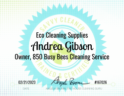 Andrea Gibson Eco Cleaning Supplies Savvy Cleaner Training