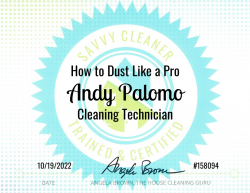 Andy Palomo Dust Like a Pro Savvy Cleaner Training