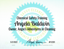 Angela Baldwin Chemical Safety Training Savvy Cleaner Training