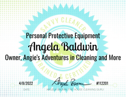 Angela Baldwin Personal Protective Equipment Savvy Cleaner Training