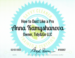 Anna Kamyshanova Dust Like a Pro Savvy Cleaner Training