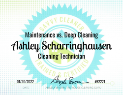Ashley Scharringhausen Maintenance vs. Deep Cleaning Savvy Cleaner Training 1000x772
