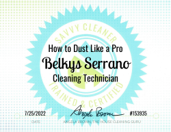 Belkys Serrano Dust Like a Pro Savvy Cleaner Training