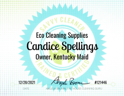 Candice Spellings Eco Cleaning Supplies Savvy Cleaner Training