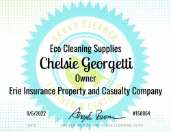 Chelsie Georgetti Eco Cleaning Supplies Savvy Cleaner Training