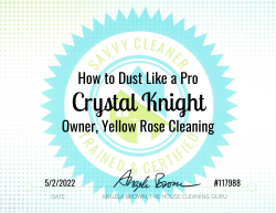 Crystal Knight Dust Like a Pro Savvy Cleaner Training