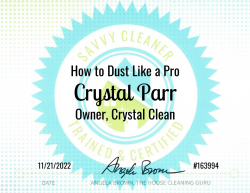 Crystal Parr Dust Like a Pro Savvy Cleaner Training
