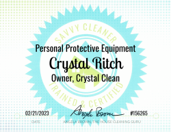 Crystal Ritch Personal Protective Equipment Savvy Cleaner Training