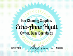 Echo-Anne Hyatt Eco Cleaning Supplies Savvy Cleaner Training