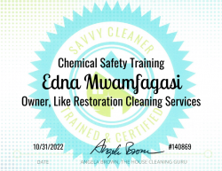 Edna Mwamfagasi Chemical Safety Training Savvy Cleaner Training