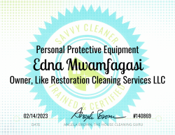 Edna Mwamfagasi Personal Protective Equipment Savvy Cleaner Training