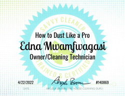 Edna Mwamfwagasi Dust Like a Pro Savvy Cleaner Training