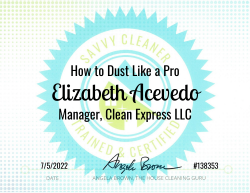 Elizabeth Acevedo Dust Like a Pro Savvy Cleaner Training
