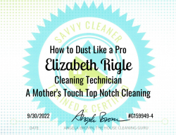 Elizabeth Rigle Dust Like a Pro Savvy Cleaner Training
