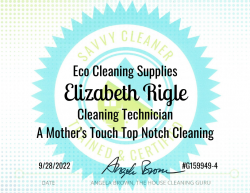 Elizabeth Rigle Eco Cleaning Supplies Savvy Cleaner Training