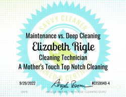 Elizabeth Rigle Maintenance vs. Deep Cleaning Savvy Cleaner Training
