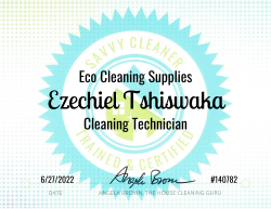 Ezechiel Tshiswaka Eco Cleaning Supplies Savvy Cleaner Training