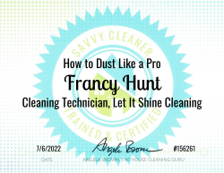 Francy Hunt Dust Like a Pro Savvy Cleaner Training