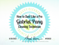 Gabriel Pang Dust Like a Pro Savvy Cleaner Training