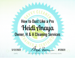 Heidi Anaya Dust Like a Pro Savvy Cleaner Training