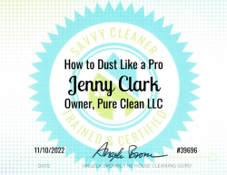 Jenny Clark Dust Like a Pro Savvy Cleaner Training