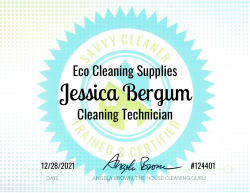 Jessica Bergum Eco Cleaning Supplies Savvy Cleaner Training